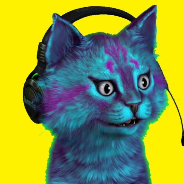 Котик Игроман