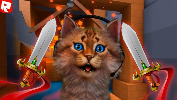 Игра котики