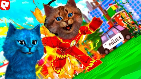 Игра котики