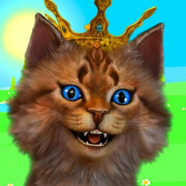 Котик Игроман