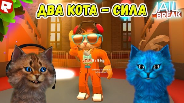 Котик Игроман РОБЛОКС