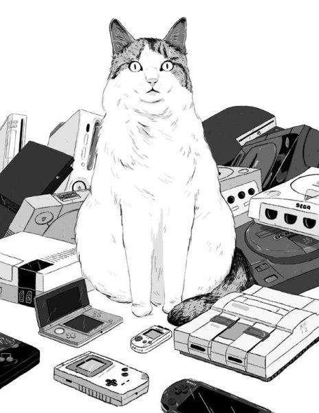 Кота игромана