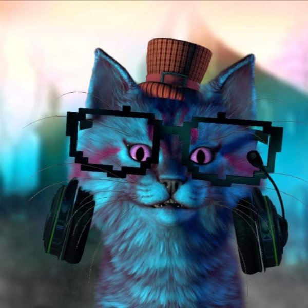 Котенок Игроман