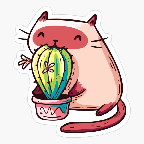 Кактус в форме котенка