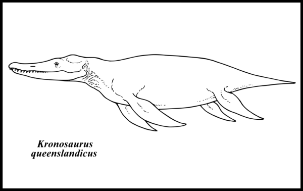 Kronosaurus queenslandicus