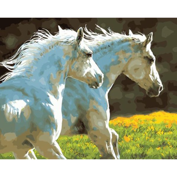 Раскраски по номерам белые лошади (44 фото)