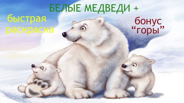 Molly картина по номерам "белые медведи" 40х50 см