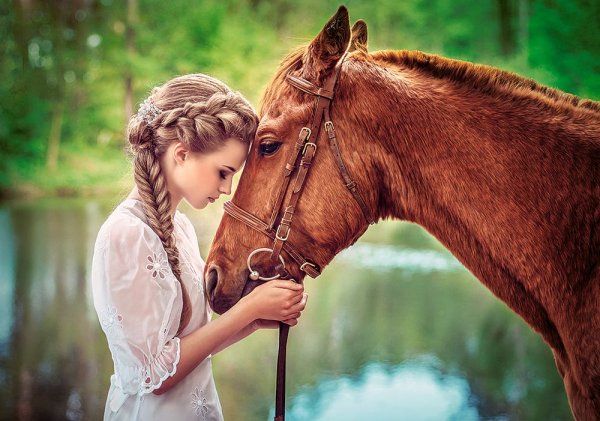 Раскраски по номерам девушка и лошадь (46 фото)