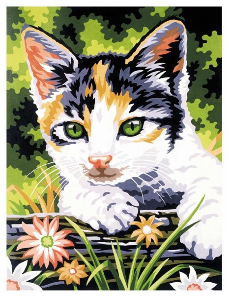 Рисование по номерам кошка