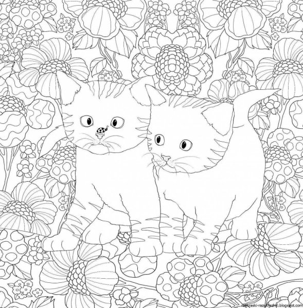 Раскраски антистресс котята