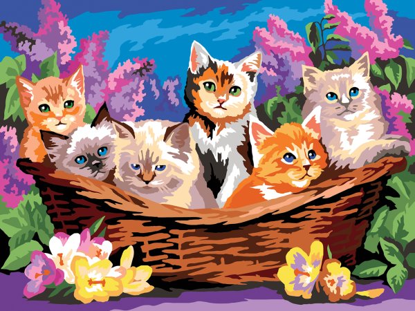 Картина по номерам котята