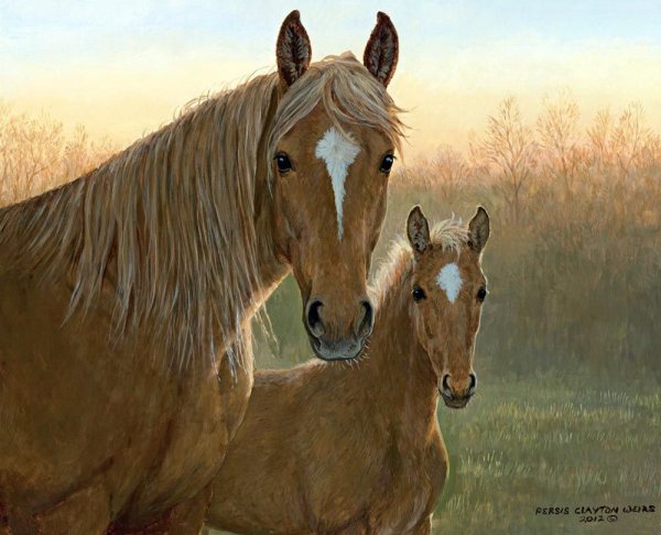 Художник-анималист persis Clayton Weirs