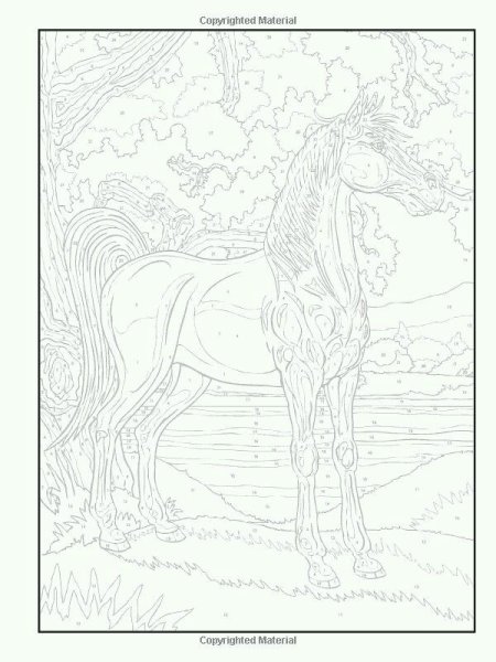 Раскраски по номерам лошадь (49 фото)