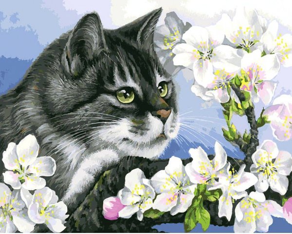 Картины Ирины Гармашовой коты