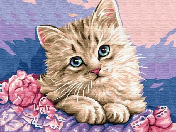 Рисование по номерам котенок