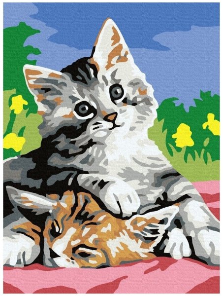 Рисование по номерам кошка