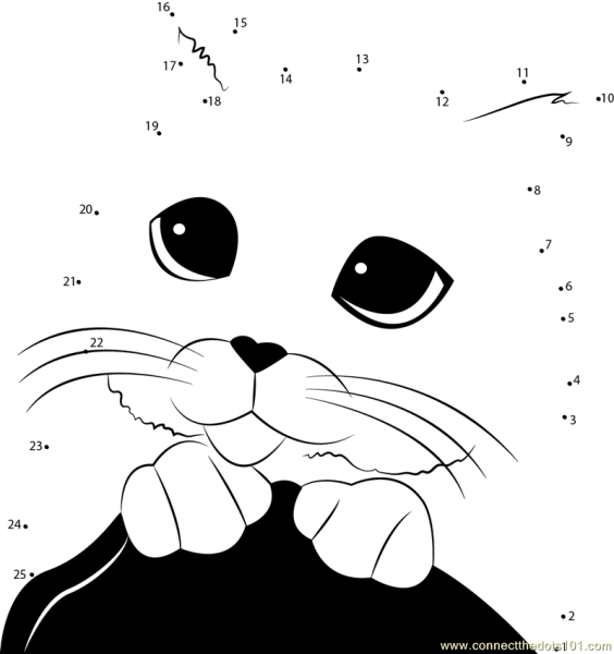 Котик по точкам