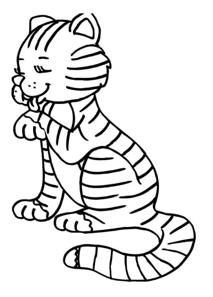 Раскраска кошка полосатая
