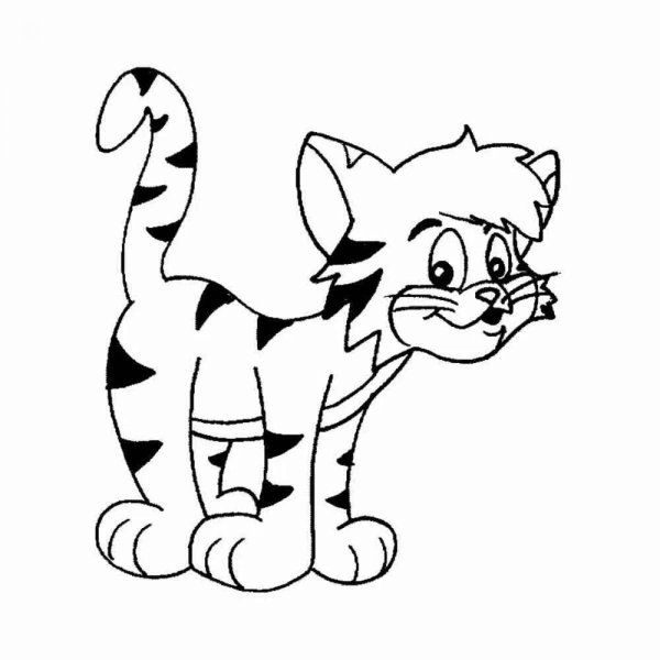 Раскраска кошка полосатая