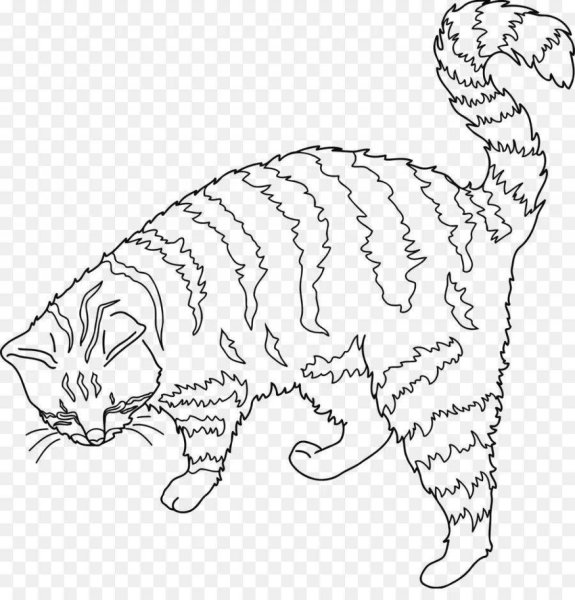 Раскраска кошка полосатая