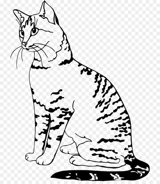 Раскраска Бенгальская кошка