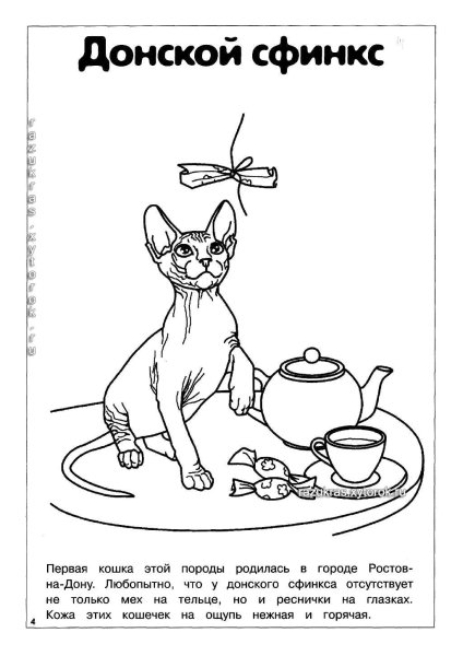 Раскраска кошканастоящяя