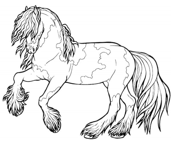 Раскраски породы лошадей (40 фото)