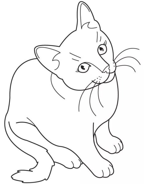 Кошка для раскрашивания