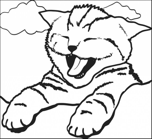 Кошки. Раскраска