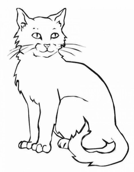 Кот раскраска для детей
