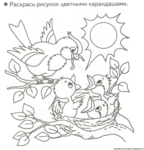 Раскраска Весна птицы