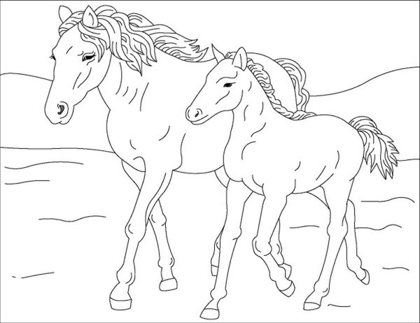 Раскраски про лошадей верхом (43 фото)