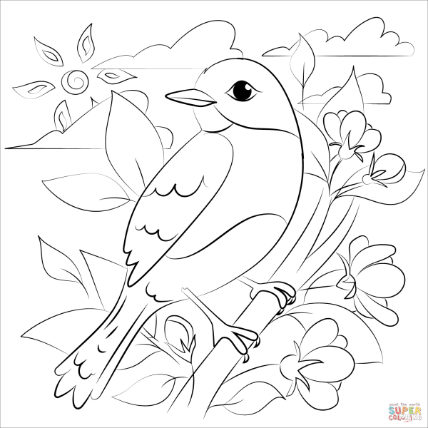 Раскраски птиц для сада (48 фото)