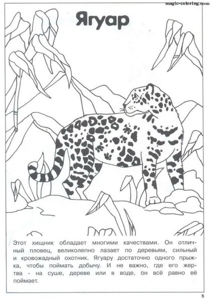 Красная книга раскраска