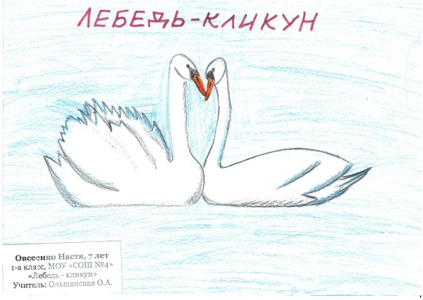 Птицы из красной книги России рисунки
