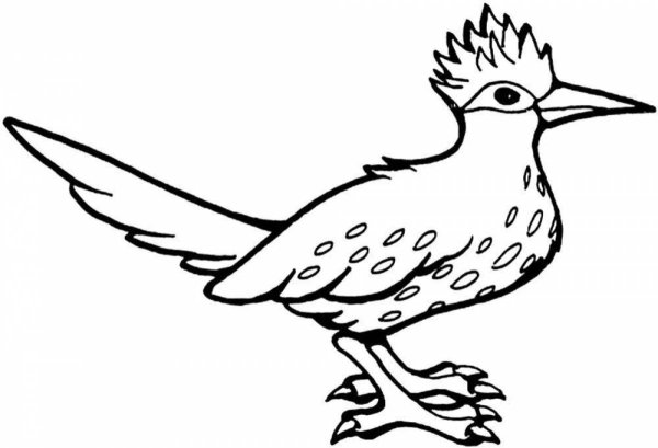 Кукушка раскраска