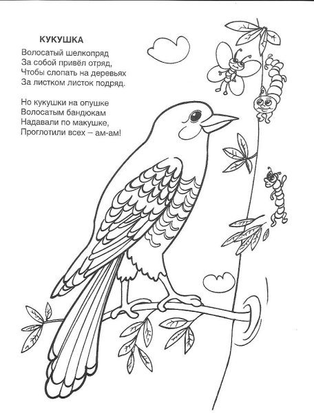 Кукушка раскраска
