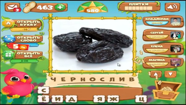 Птица Говорун уровень 42