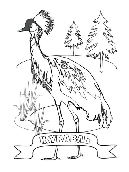 Журавль раскраска