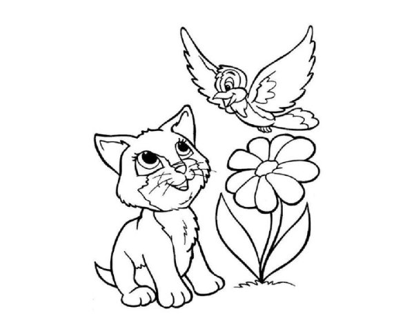 Котик и птичка раскраска