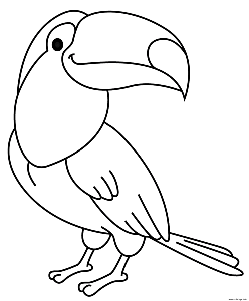 Раскраски птица какаду (44 фото)
