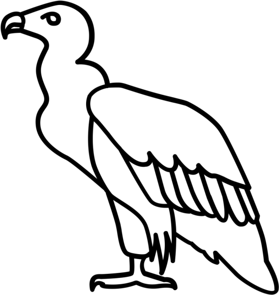 Гриф рисунок