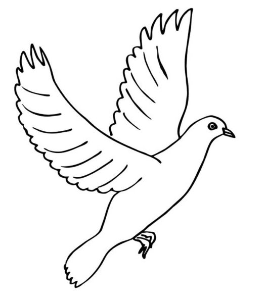 Голубь мира раскраска
