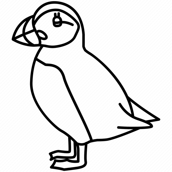 Puffin раскраска для детей