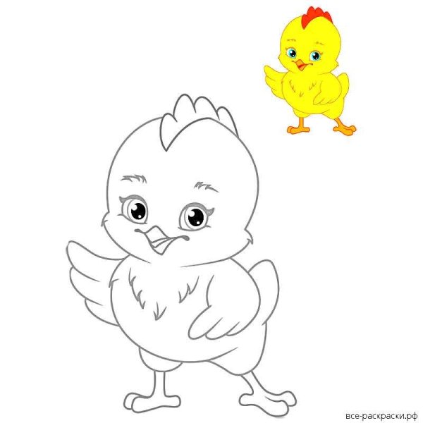 Цыпленок. Раскраски