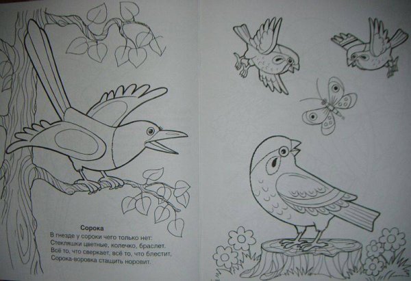 Три сороки раскраска