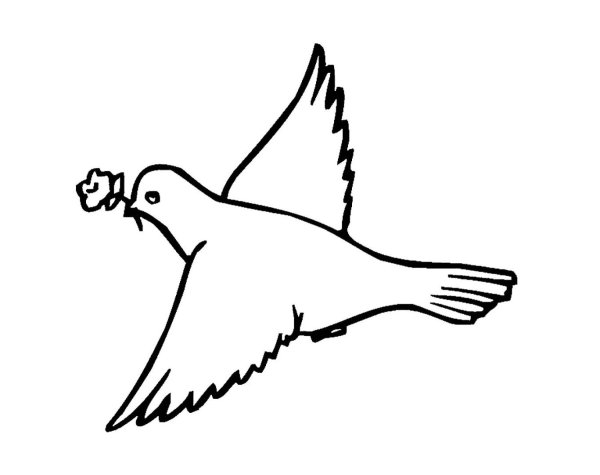 Раскраски птицы голубь (45 фото)