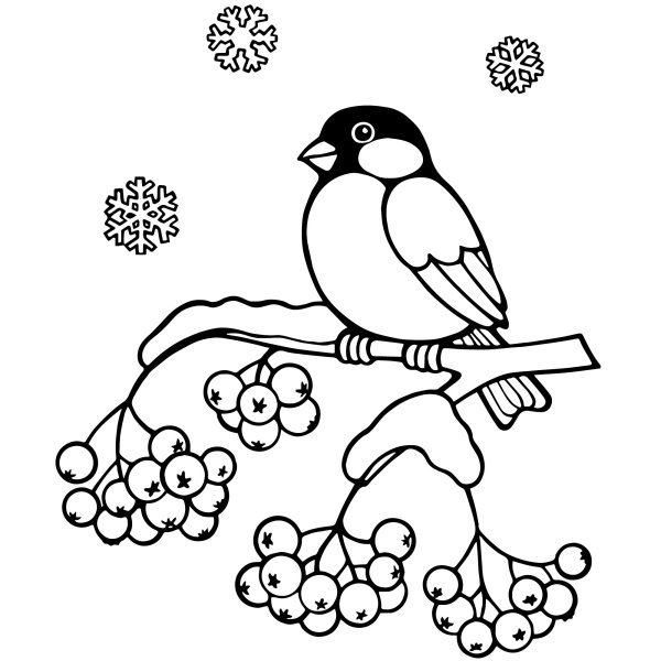 Раскраски птицы зимой (49 фото)