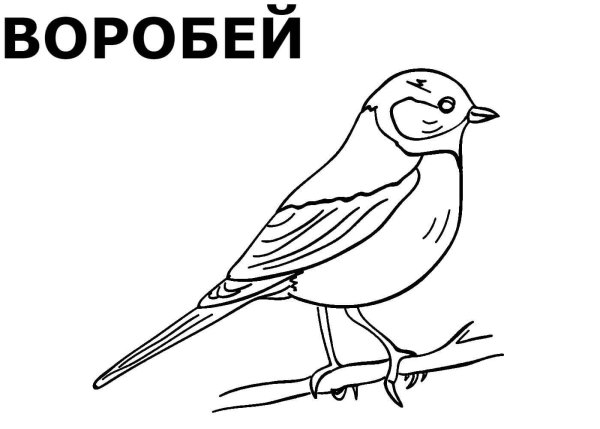 Синица картинка раскраска