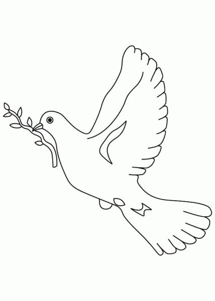 Голубь мира раскраска